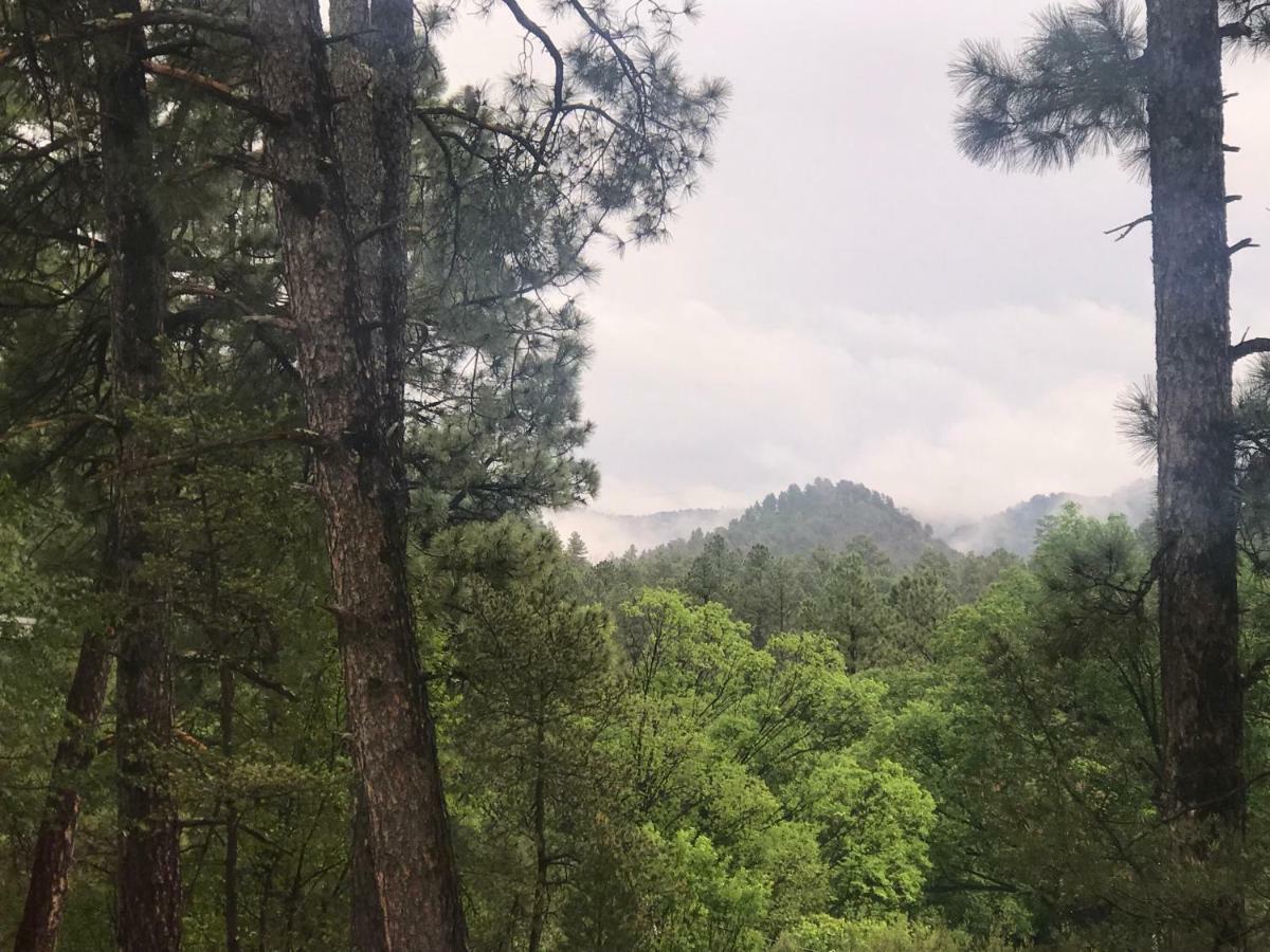 Gonzales Cozy Little Bear Сasa de vacaciones Ruidoso