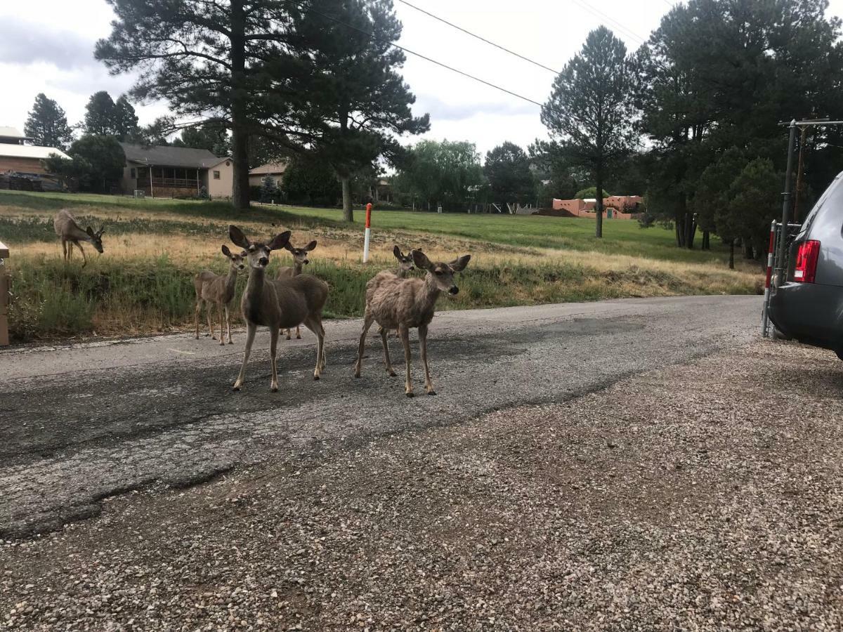 Gonzales Cozy Little Bear Cabin * Ruidoso
