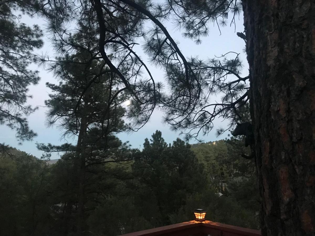 Gonzales Cozy Little Bear * Ruidoso